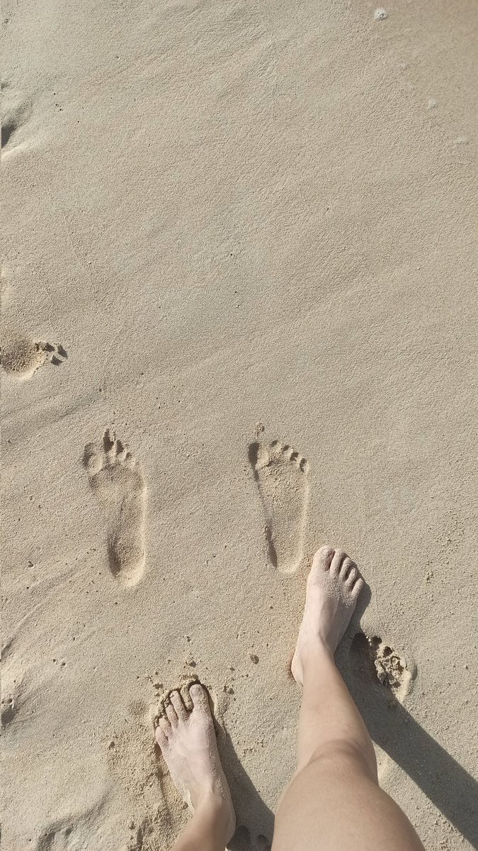 waluff_1999's tweet photo. Ayer fui a la playa!! 😃🏝️😎✌️ https://t.co/Kga4ErIcss