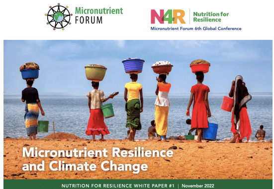 Climate emergencies are nutrition emergencies. <a href="/MNForum/">Micronutrient Forum</a> white paper examines the #climate change-nutrition discourse and the central role of #micronutrients. #N4R2023 #MNF2023 
🔗 ow.ly/AfGA50Q9tmn