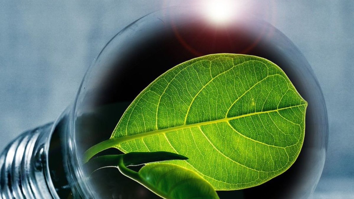 Blaby District Council tweet media