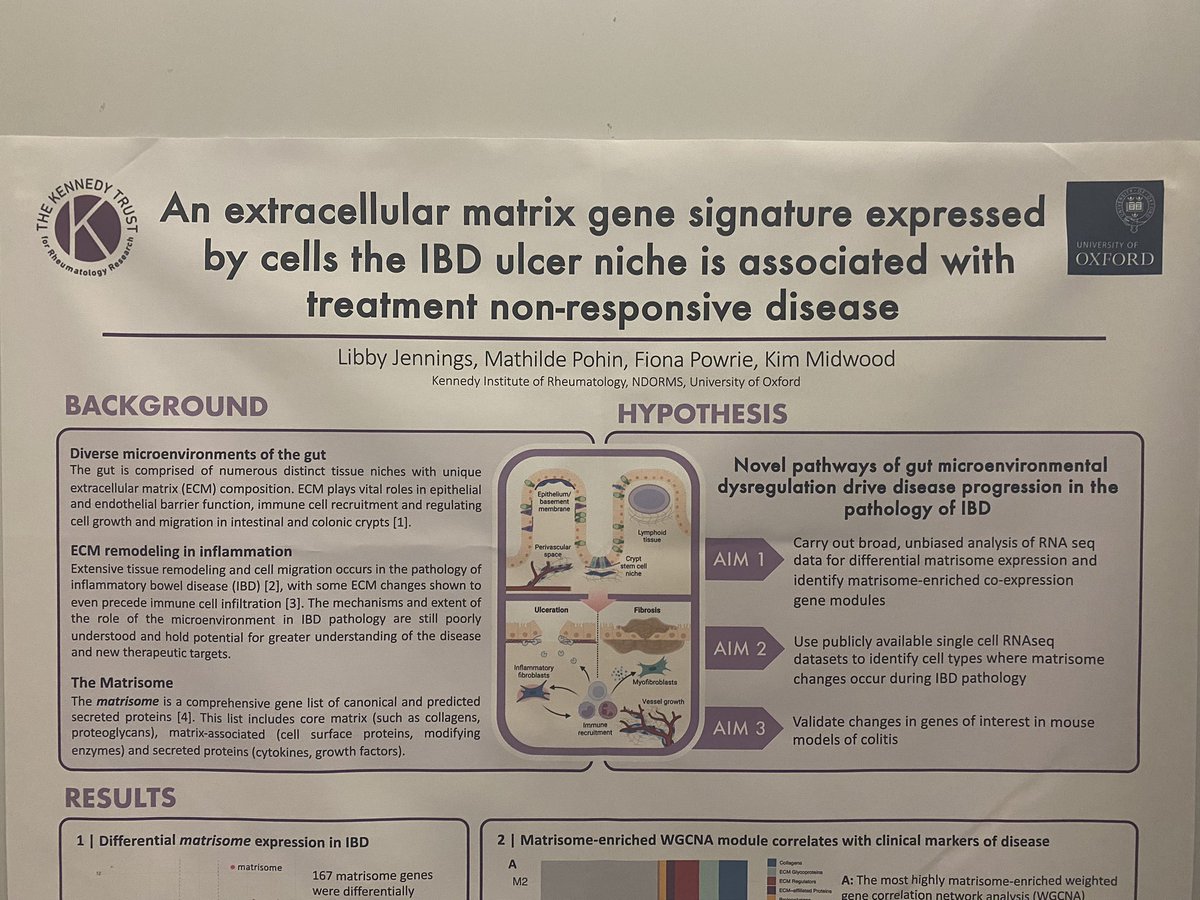 Just experienced a very warm welcome to #IUIS2023 Come see me at poster session A, number 343 to talk extracellular matrix in IBD!