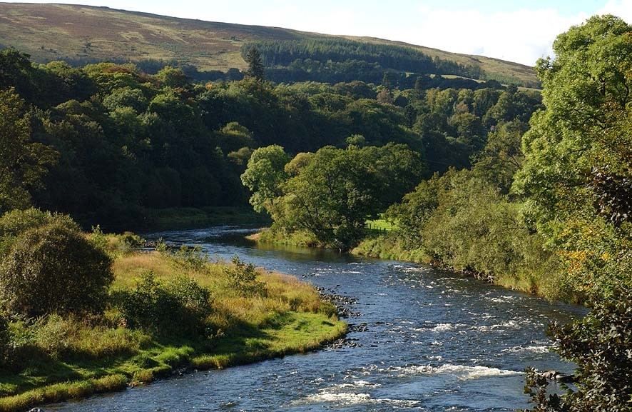 Trees are the magnificent backdrop to many of our outdoor adventures so this #NationalTreeWeek we are celebrating the native woodland and designed landscapes of the River Tweed and our projects which aim to conserve and protect these environments.