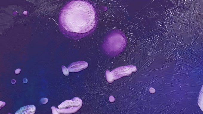 「誰もいない 紫」のTwitter画像/イラスト(新着)｜3ページ目