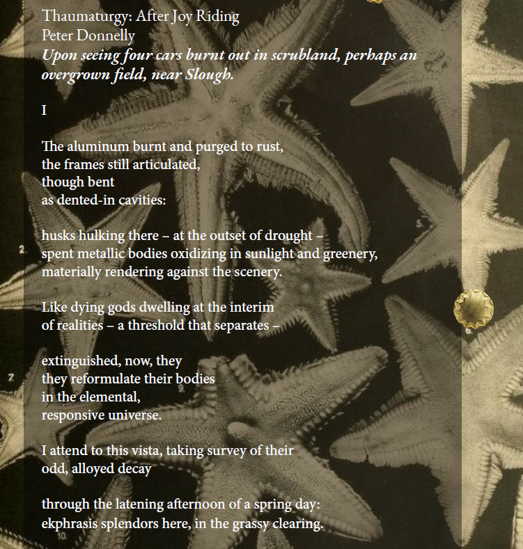 Peter Donnelly tweet media