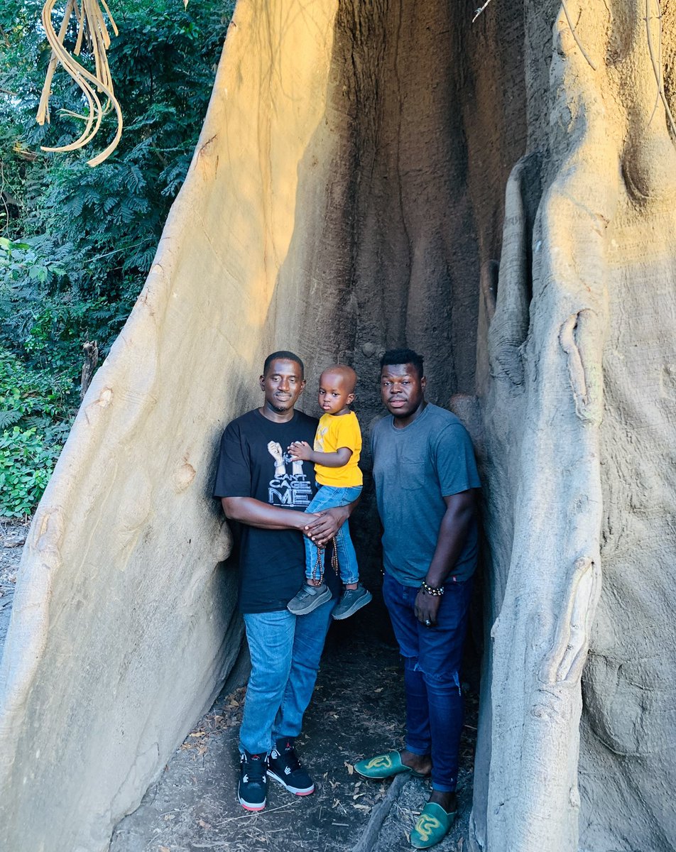 And when we asked the crocs what’s the latest. They said: “Kana Song:
Can’t Cage Me” it is for us the #bravest”

Serekunda Ebotown junction
3730331