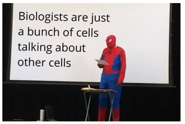 I do it all for the meta.