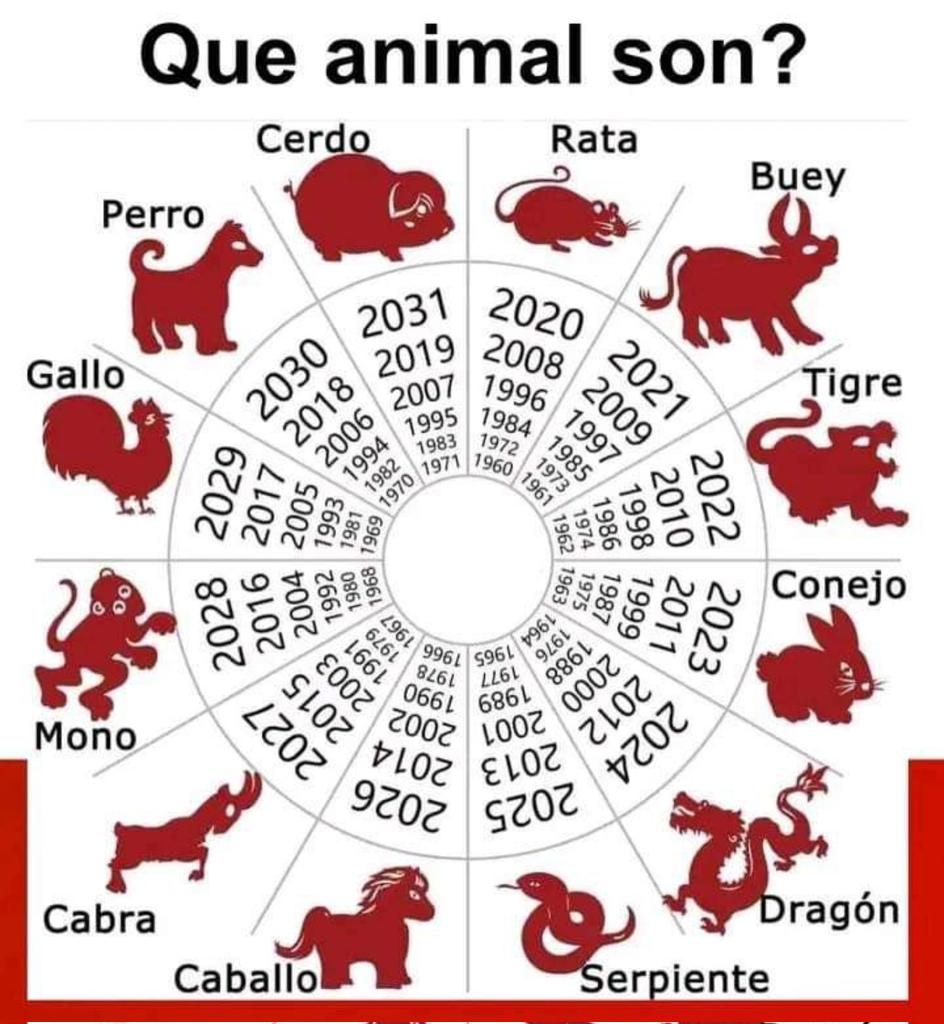 drapatygal's tweet photo. 🐷🐽 https://t.co/r0FUXx4ZDi