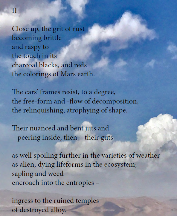 Peter Donnelly tweet media