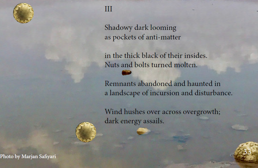 Peter Donnelly tweet media