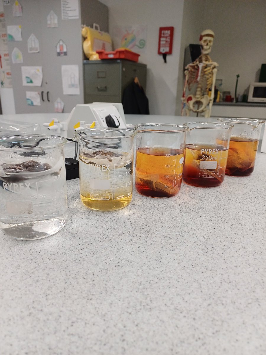 Chetham's Science tweet media