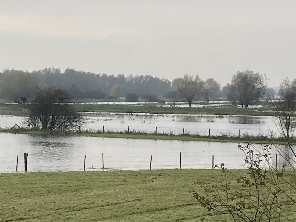 re-peat.earth tweet media