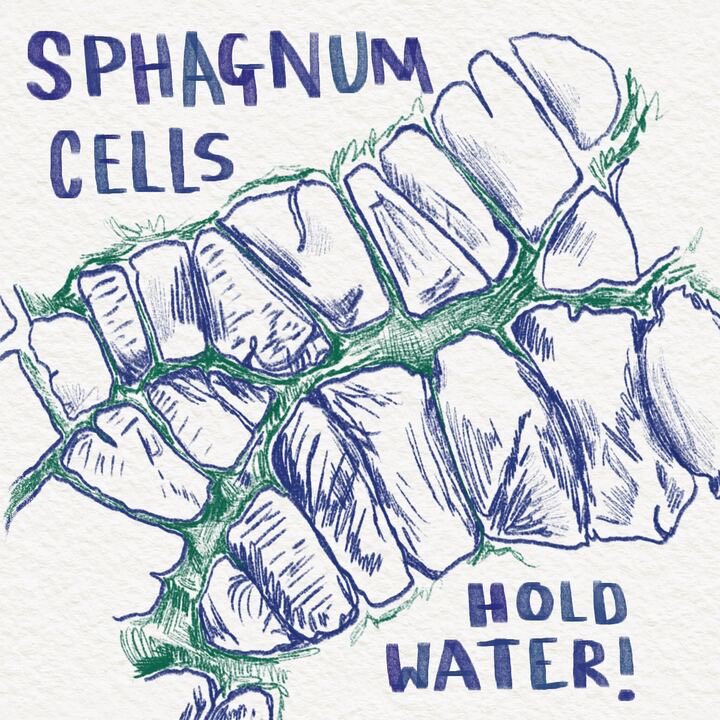 re-peat.earth tweet media