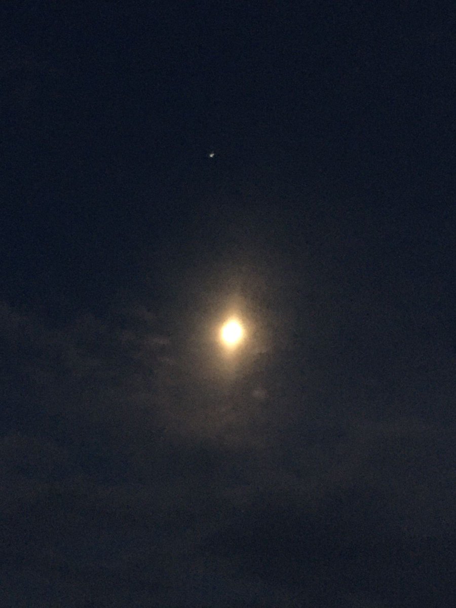 Soy fiel creyente que cuando el cielo esta despejado y hay una sola estrella es por que muere alguien, casualmente el día que falleció mi bebé el cielo estaba así. Te extraño siempre y te busco en cada estrella y atardecer mi amor, espero que estés descansando en paz❤️‍🩹🐶