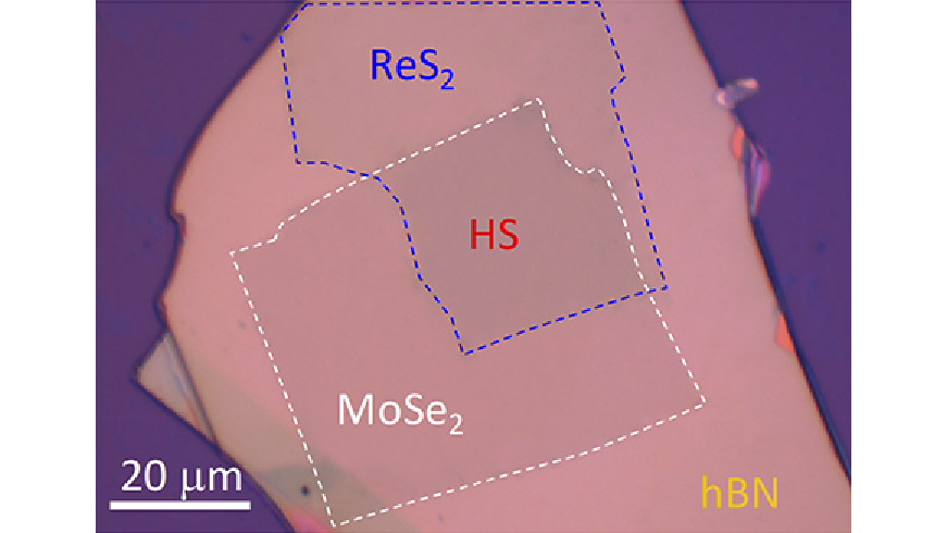 OpticaPubsGroup's tweet photo. An Editors’ Pick via #OPG_OL: Engineering anisotropy in 2D transition metal dichalcogenides via heterostructures https://t.co/U1mcQrpyav #OpticalProperties https://t.co/D1b5zNIw3j