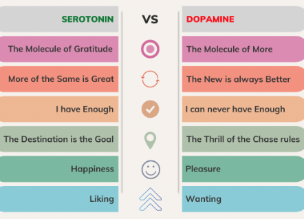 Atrophic Self Image And Dopamine Reference: Dopamine Serotonin Here S How To Manage Both For A