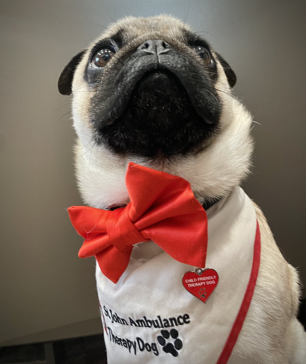 Zombie Pug & Crowley aka Lil C tweet media