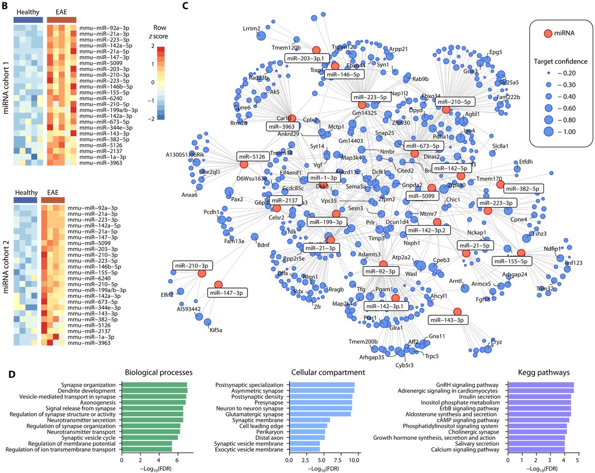 Science Advances (@scienceadvances) on Twitter photo A constructed, neuron-specific microRNA–#mRNA network has identified an miR-92a–Cpeb3 axis that protects neurons from the degenerative effects of #neuroinflammation. <a href="/inims_hamburg/">INIMS</a> <a href="/IrisWinkler1/">Iris Winkler</a> <a href="/ManuelFriese/">Manuel Friese</a>
Learn more: scim.ag/4XZ A constructed, neuron-specific microRNA–#mRNA network has identified an miR-92a–Cpeb3 axis that protects neurons from the degenerative effects of #neuroinflammation. <a href="/inims_hamburg/">INIMS</a> <a href="/IrisWinkler1/">Iris Winkler</a> <a href="/ManuelFriese/">Manuel Friese</a>
Learn more: scim.ag/4XZ