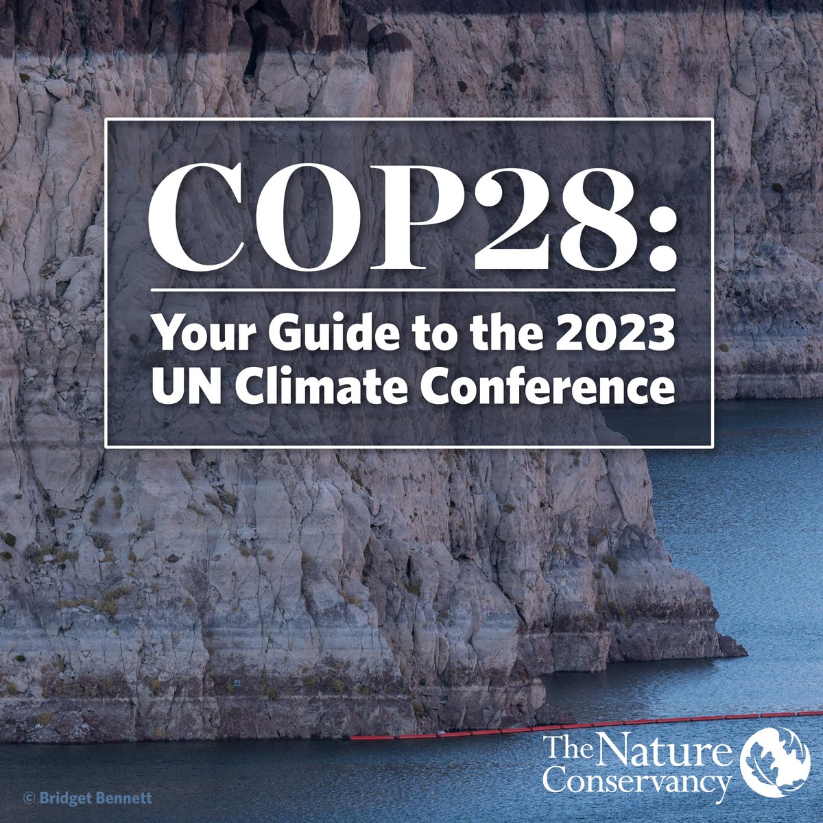 Want to learn more about some of the issues being discussed at the #COP28 UN climate conference? We’ve curated resources to help you stay informed on the most important issues: nature.ly/47sS2WE