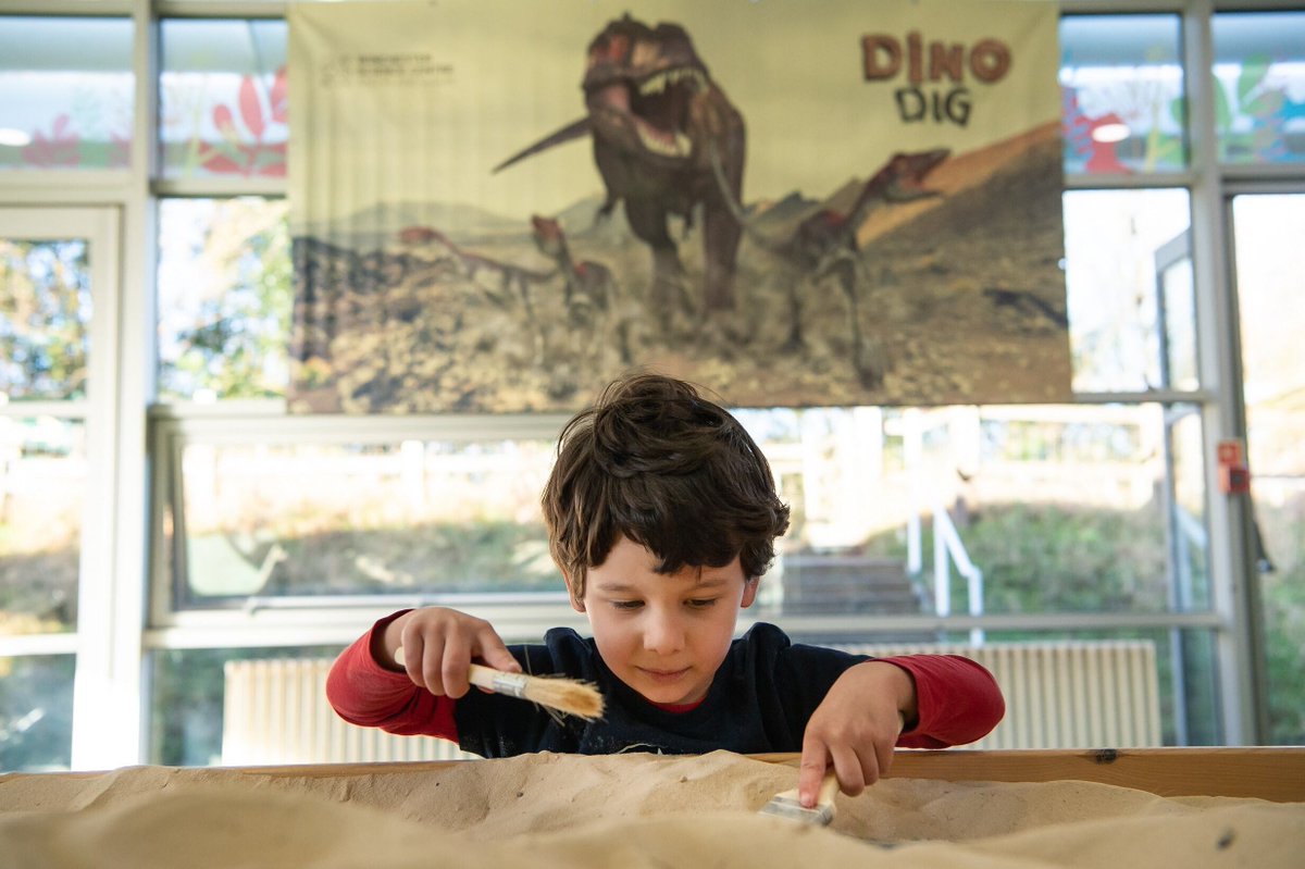 We're so excited for Science Dino-mite to start this weekend!🦕

From 2nd December to 2nd January, enjoy the sights, sounds and science of Christmas past - way past.🦖

Find out more and book now: winchestersciencecentre.org/whats-on/scien…