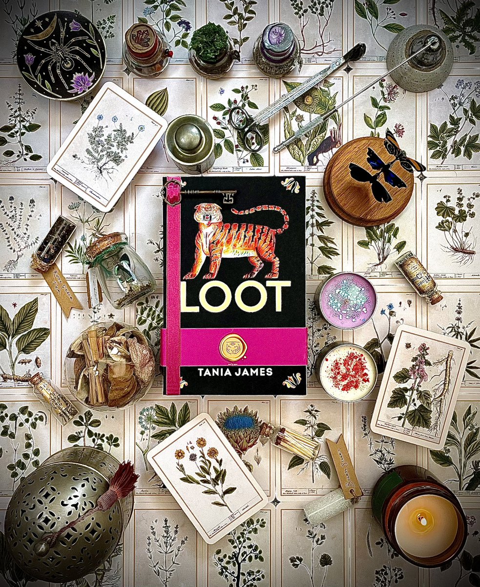 🐅 Dearest reader, my review of #Loot by Tania James is now available over on my Instagram! 🐅 🙌 A beautiful, brutal, and memorable novel based on the Tipu Tiger! This gorgeous book publishes January by @HarvillSecker @vintagebooks #BookTwitter #BookReview 🙌