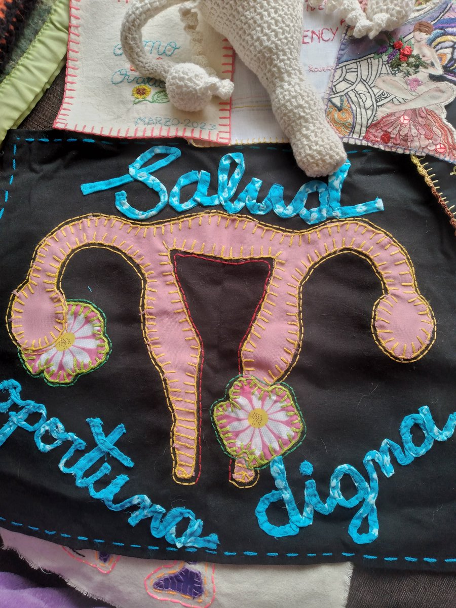 poderosautera's tweet photo. 🪡🧵🎗Seleccionando algunos bordados sobre mi vida con Endometriosis y Adenomiosis para fotografiar y enviar a un proyecto artivista super interesante al que la tremenda Chelsea me invito a participar.
#project514415
#Endometriosis
#bordarespolitico https://t.co/ofK1tbIUjv
