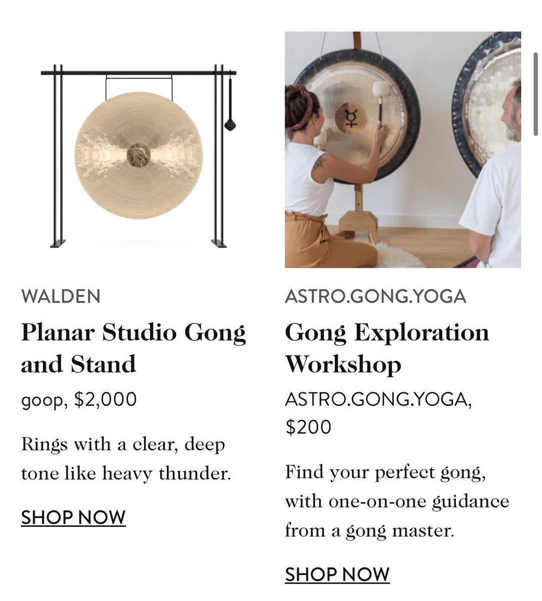 emily_murnane's tweet photo. Some highlights from the goop holiday gift guide https://t.co/kXTJDDGD4b