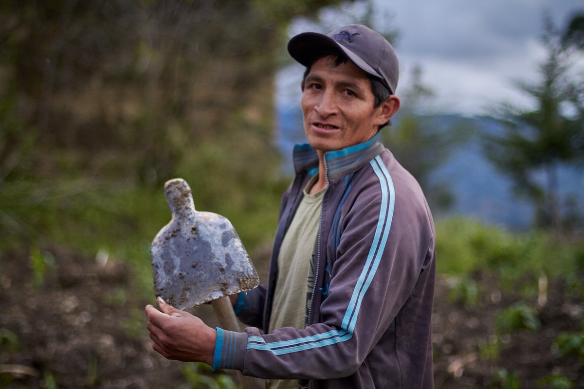 PNUDperu's tweet photo. En Cajamarca, el 53.9% de mujeres que ha denunciado violencia, ha sido víctima de su esposo o pareja.

Trabajamos junto a jueces de paz y ronderos en la construcción de nuevas masculinidades saludables para hacer frente al machismo y las violencias➡️https://t.co/ZWylNpUKYy https://t.co/Uzvn1GN7nG