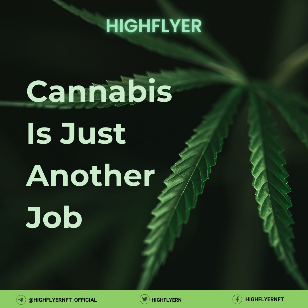 HighflyerN's tweet photo. Unveiling the Reality: Cannabis Industry as Just Another Job. Explore the lesser-known aspects of the booming cannabis industry and its impact on workers' safety. Discover more on El Dorado News.

Source: https://t.co/B7jrRkOz2V

#Highflyer #Cannabis #AI #MedicalMarijuana #Job" https://t.co/JMgnyhWn8H