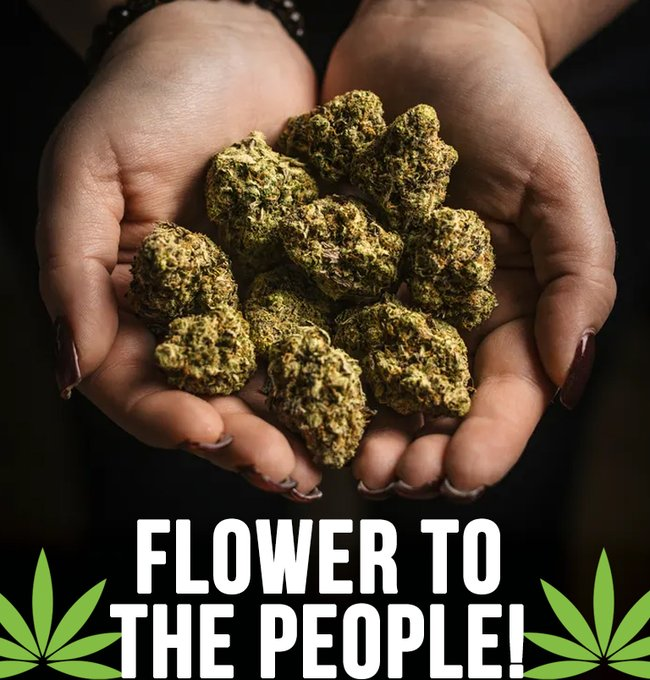 PotsmartTweets's tweet photo. We hope you'll come visit us at https://t.co/n5VFFJ4QgJ sometime. Endless goodies and great deals to be had!! 

Have a great week everybody!! 🤟😃

#CannabisCommunity #cannabisculture #WeedLife #WeedLovers #weedsmokers #weedsmokers #canadiancannabis #StonerFam #Mmemberville https://t.co/nm46tLViWK
