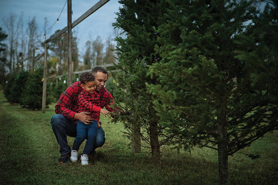 Keep your Christmas tree fresh all season long with these top tips! 🎄
farmflavor.com/lifestyle/chri…