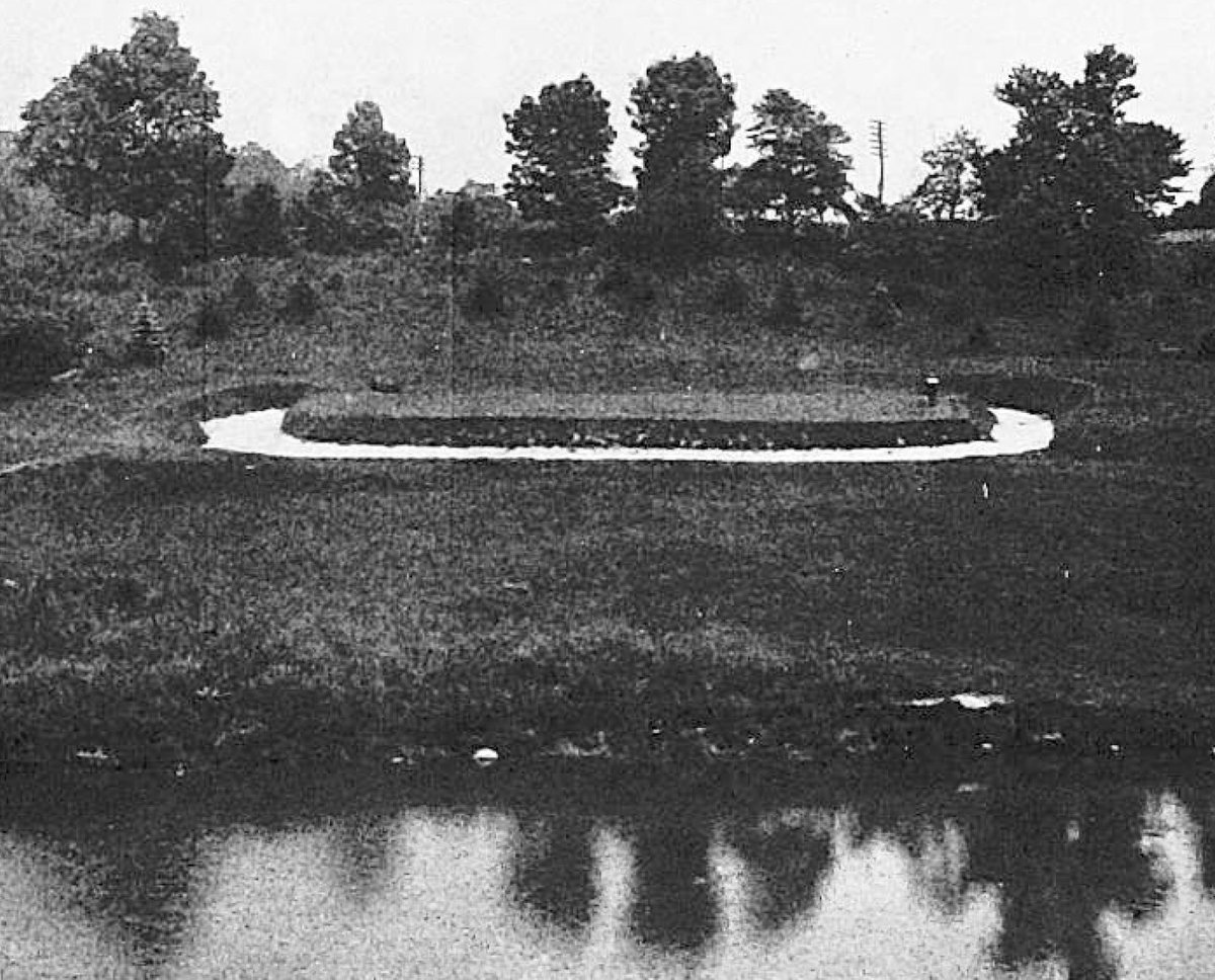 Anthony Pioppi tweet media