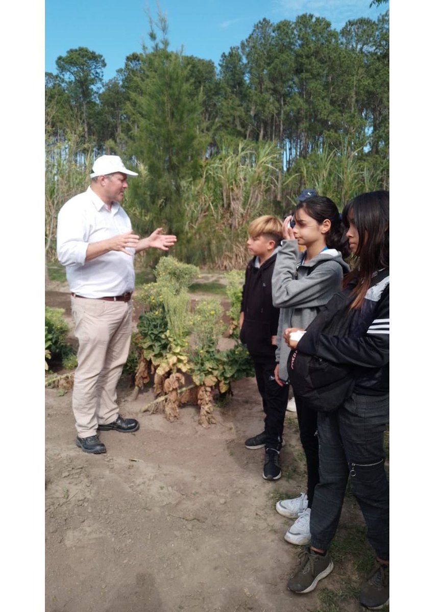 prohuerta's tweet photo. #TerritoriosProHuerta | Santa Fe

60 alumnos de la Escuela ESO N° 524 visitaron la huerta y granja educativa de Reconquista e intercambiaron conocimientos sobre árboles frutales implantados y nativos, la producción y diseño de huerta agroecológica. https://t.co/XYsjduVWgP