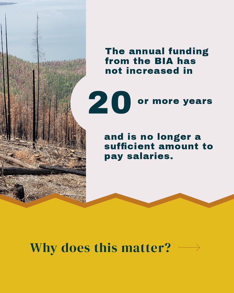 Intertribal_TC's tweet image. Advocating for Change: The annual BIA funding freeze for 20+ years has left tribal natural resource programs in a critical state. 🚨 Time for a funding boost! 💪🌲 #IFMATIV #SupportNativeCommunities"