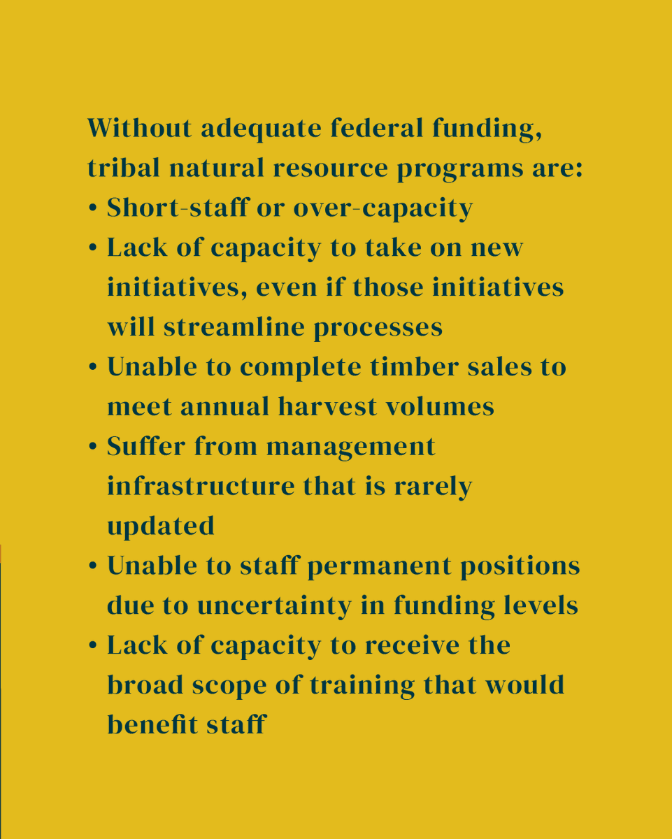 Intertribal_TC's tweet image. Advocating for Change: The annual BIA funding freeze for 20+ years has left tribal natural resource programs in a critical state. 🚨 Time for a funding boost! 💪🌲 #IFMATIV #SupportNativeCommunities"