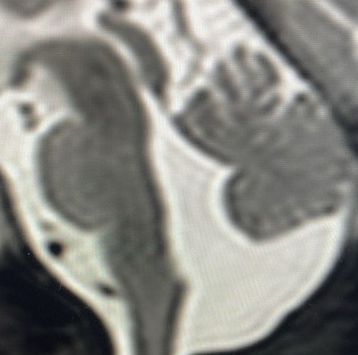 Dr Kish Mankad tweet media