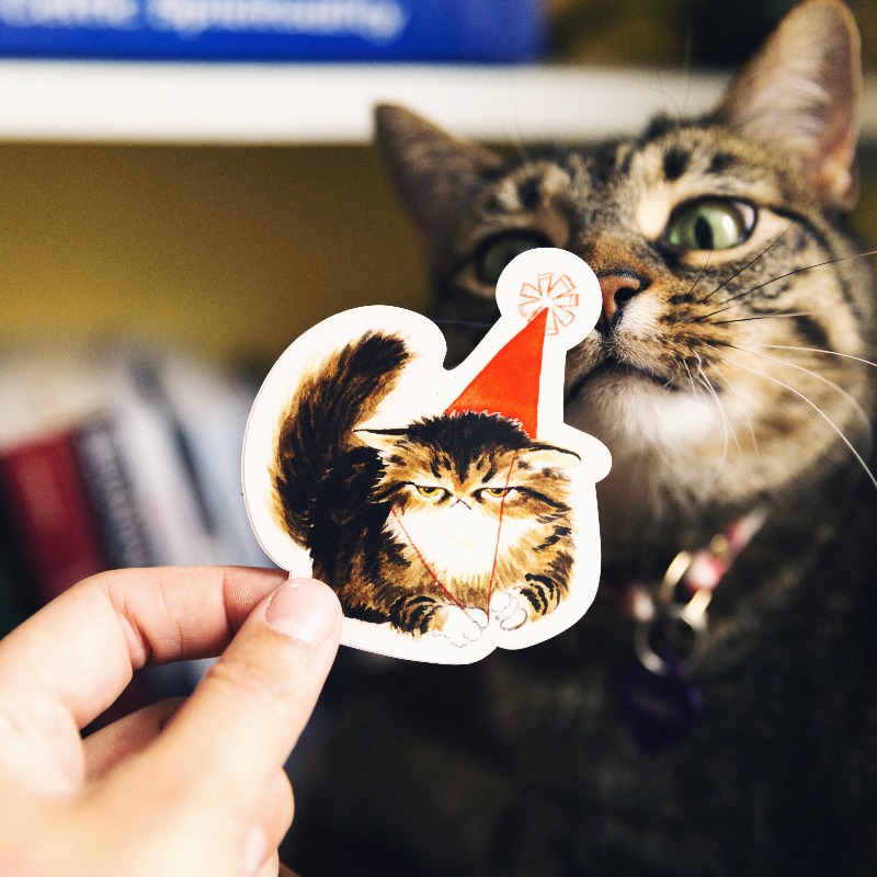 stickermule's tweet photo. Make purr-fect stickers for only $1. Try Sticker Mule today and get 10 custom stickers for $1.
