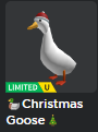 JJ (goose man) tweet media