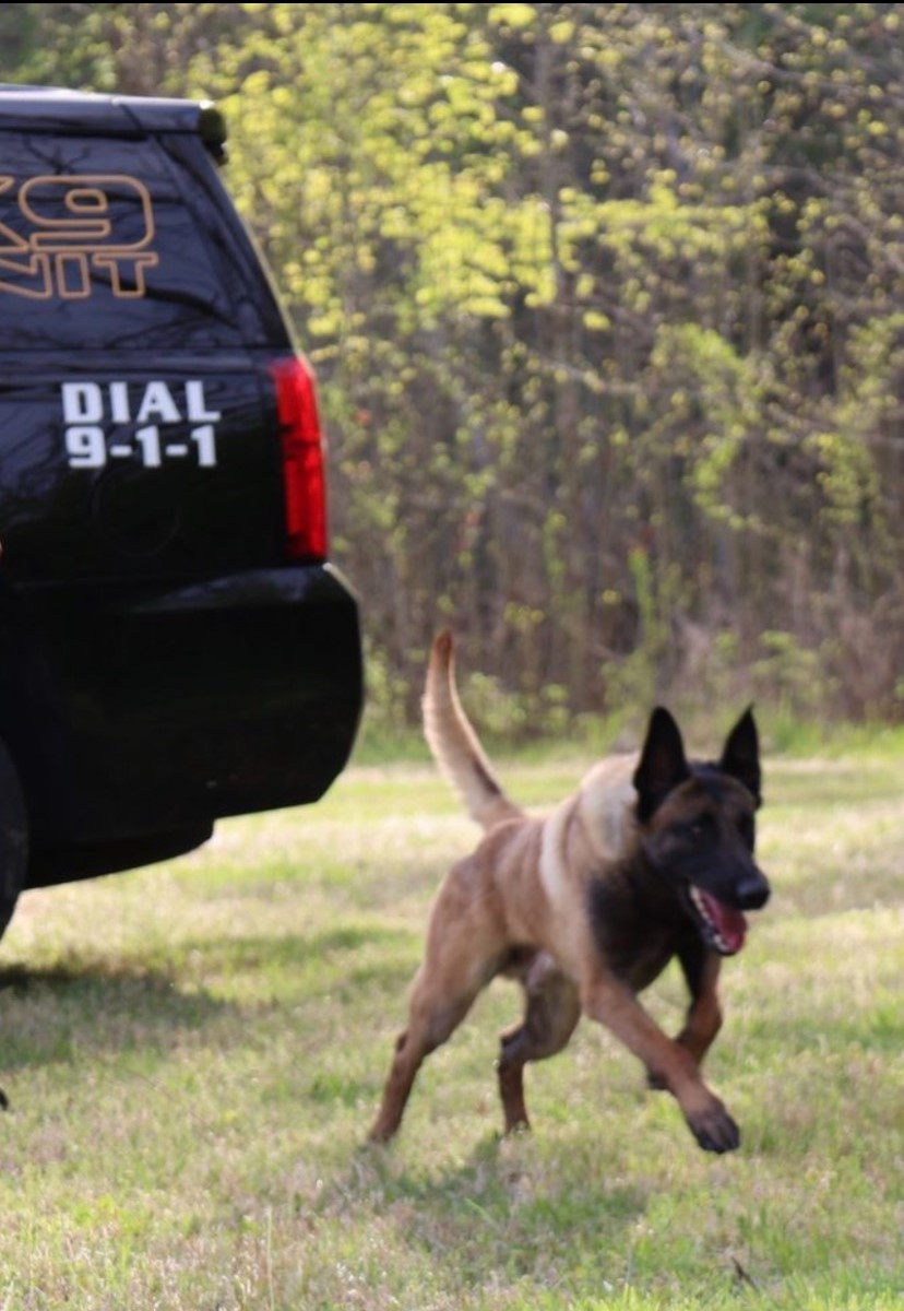 @BransonPolice tweet media