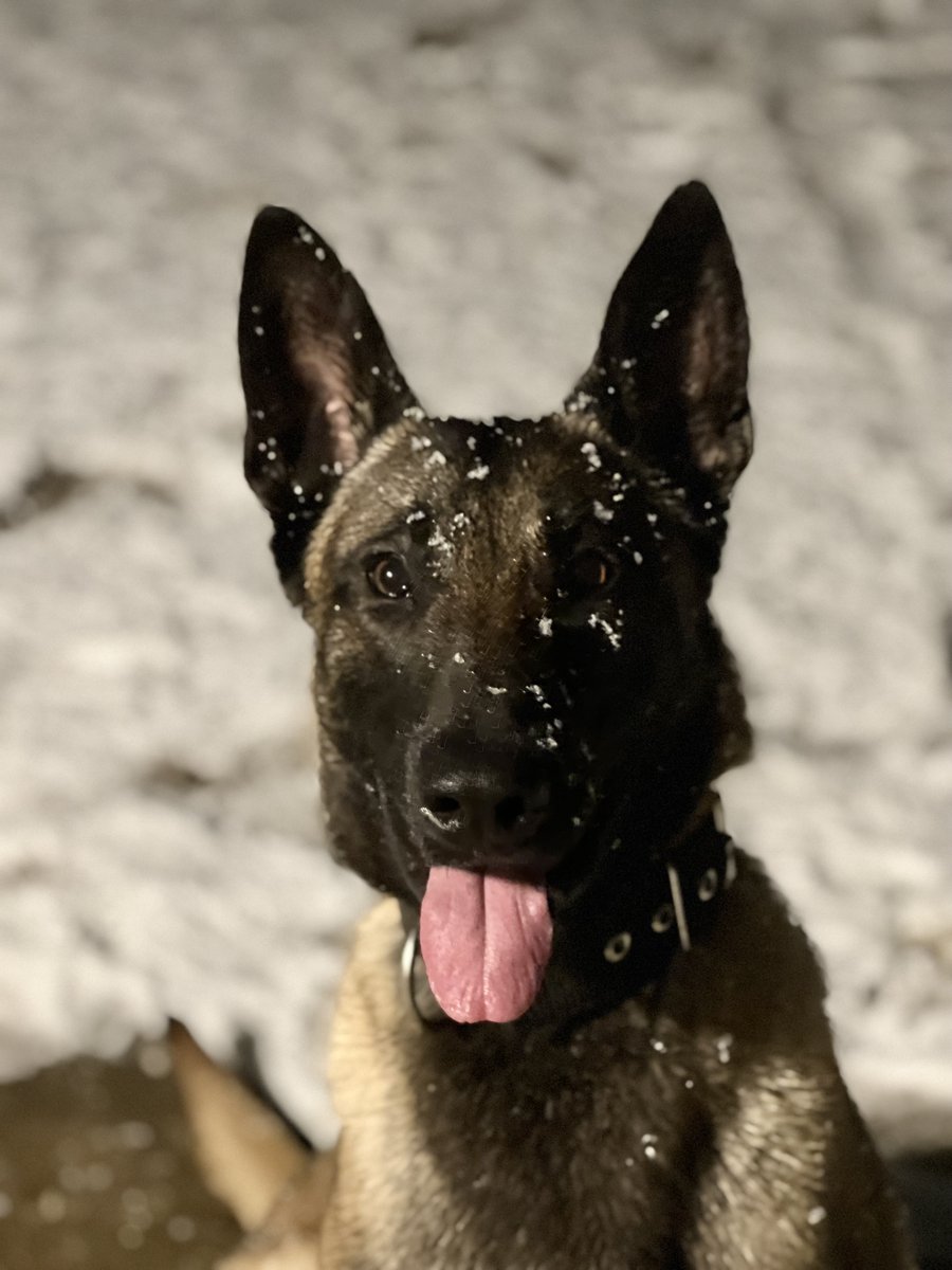 @BransonPolice tweet media