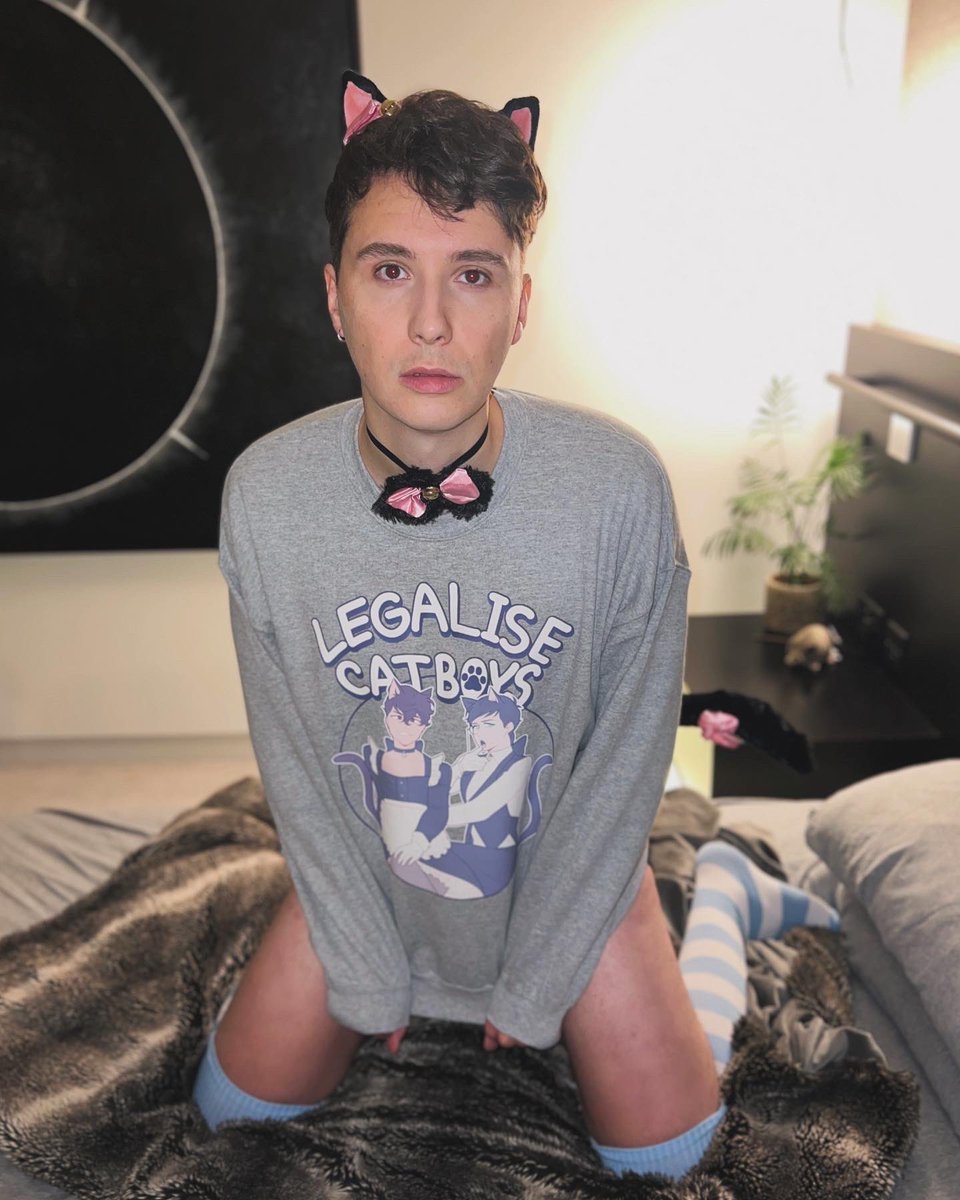 LEGALISE CATBOYS danandphilshop.com