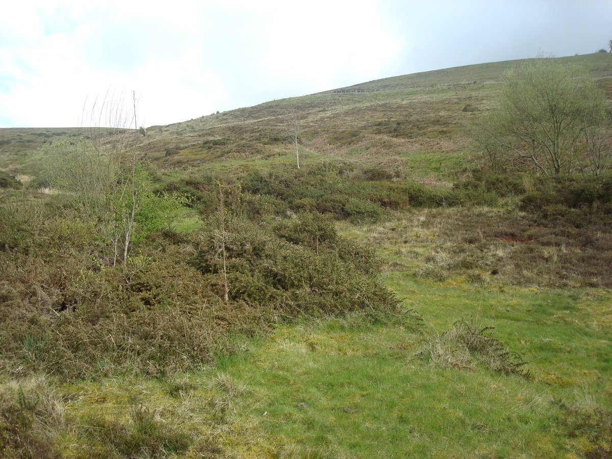 Farm Wildlife tweet media