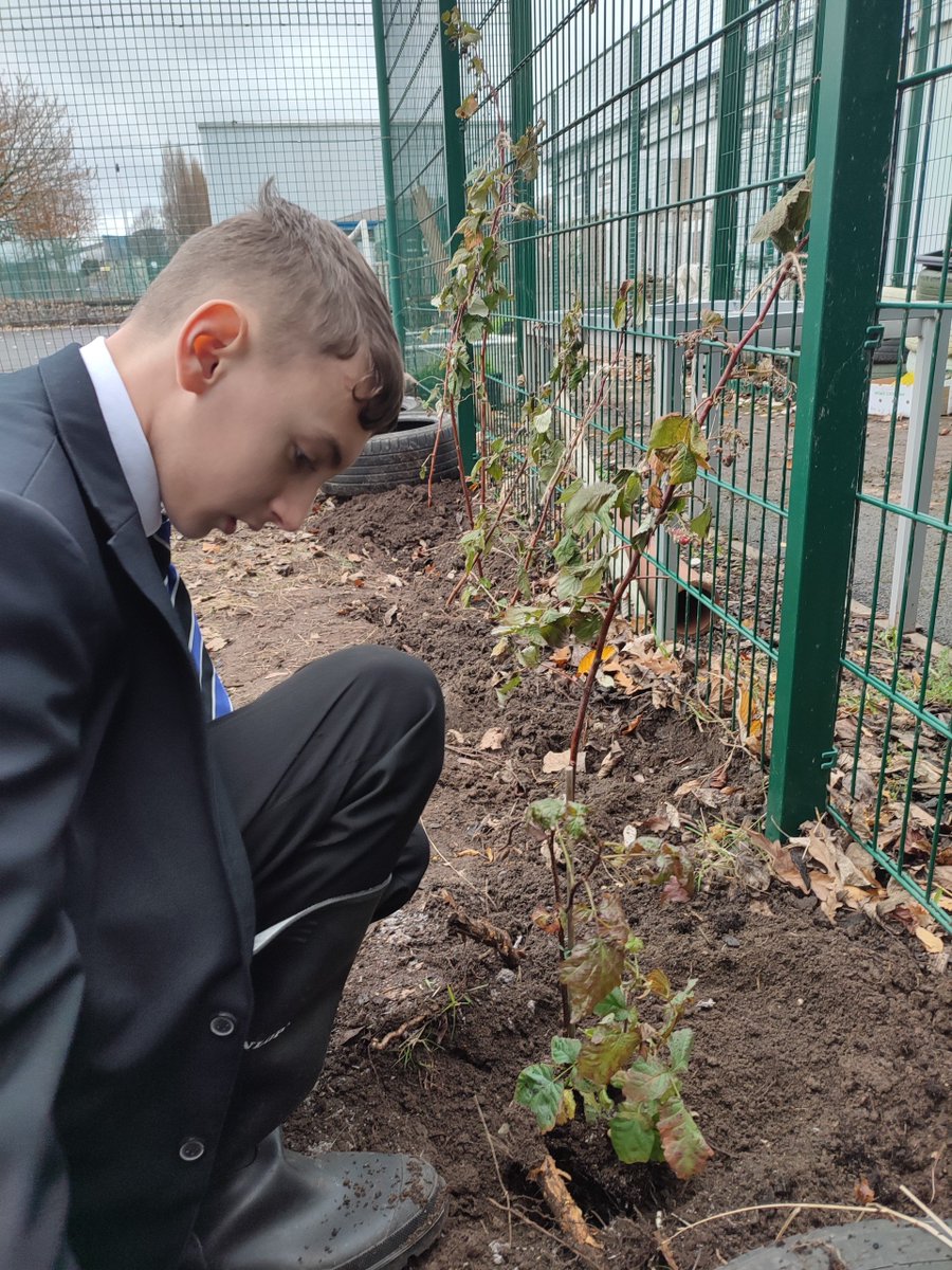 DeLacyAcademy's tweet photo. Week 3 of our Grow Wakefield initiative and our students have planted garlic! They always find time for a hot chocolate and a biscuit! #CommunityEngagement  #allotment #ProjectW #GivingBack https://t.co/5OXeEU4ApK