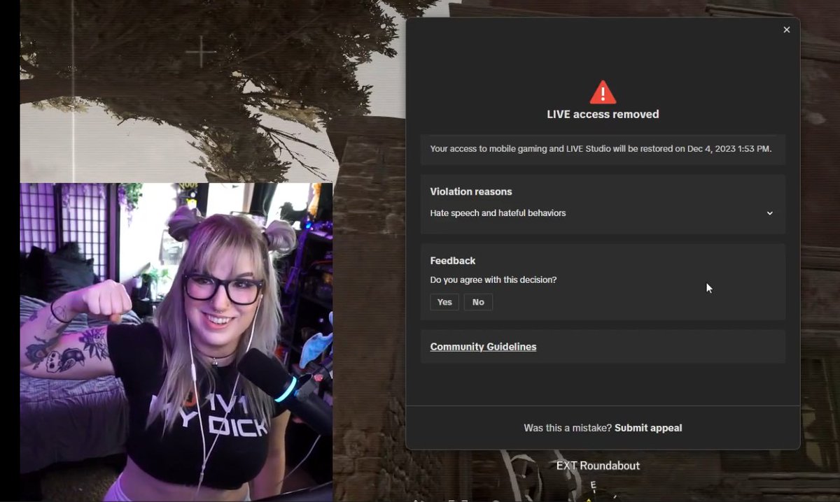 IceRocker tweet media