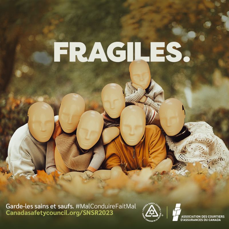IBACanada's tweet photo. Fragiles. Voici des trucs pour qu’ils soient sains et saufs sur la route : https://t.co/PxOs7Eolw3