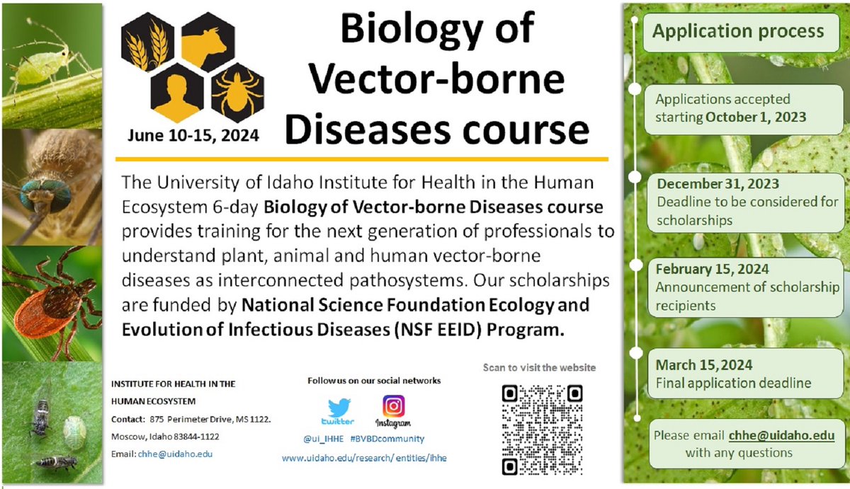 ui_IHHE's tweet photo. One month left from the first deadline for the application to the Biology of Vector-borne Diseases course 2024 #BVBDcommunity
#PlantSci #postdocs @AmerSocVirol #LoveVirology @ui_IHHE #ENTSOC23 #PlantHealth2024 @Cipotato https://t.co/Aa0YHnx96y