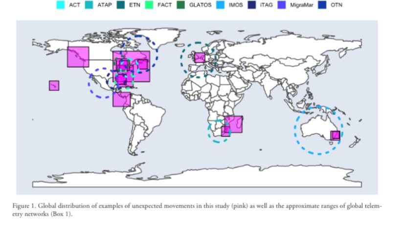 Tracking networks reveal unexpected movements across taxa onlinelibrary.wiley.com/doi/epdf/10.11… 

Multi-country and network collaboration led by <a href="/FisheriesRobert/">Robert Lennox</a> <a href="/OceanTracking/">Ocean Tracking Network</a>