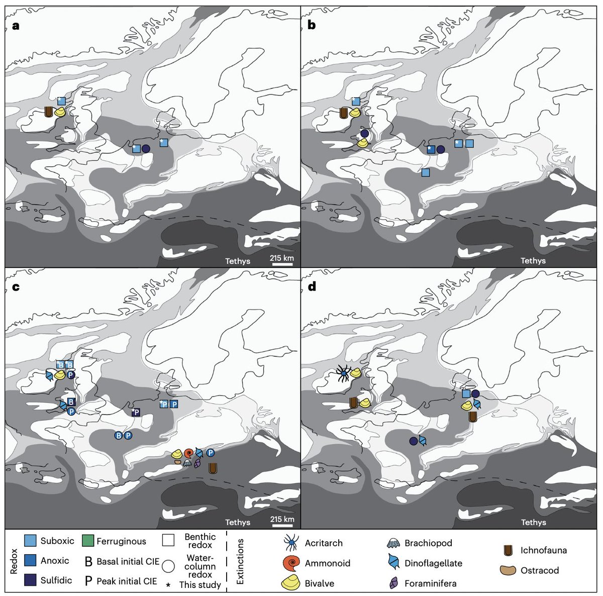 Our work in @NatureGeosci has been published. We use Mo isotopes to show that de-oxygenation levels during the end-Triassic extinction were similar to today with localised marine redox change having catastrophic effects on biodiversity @London_NERC_DTP rdcu.be/dr8mH