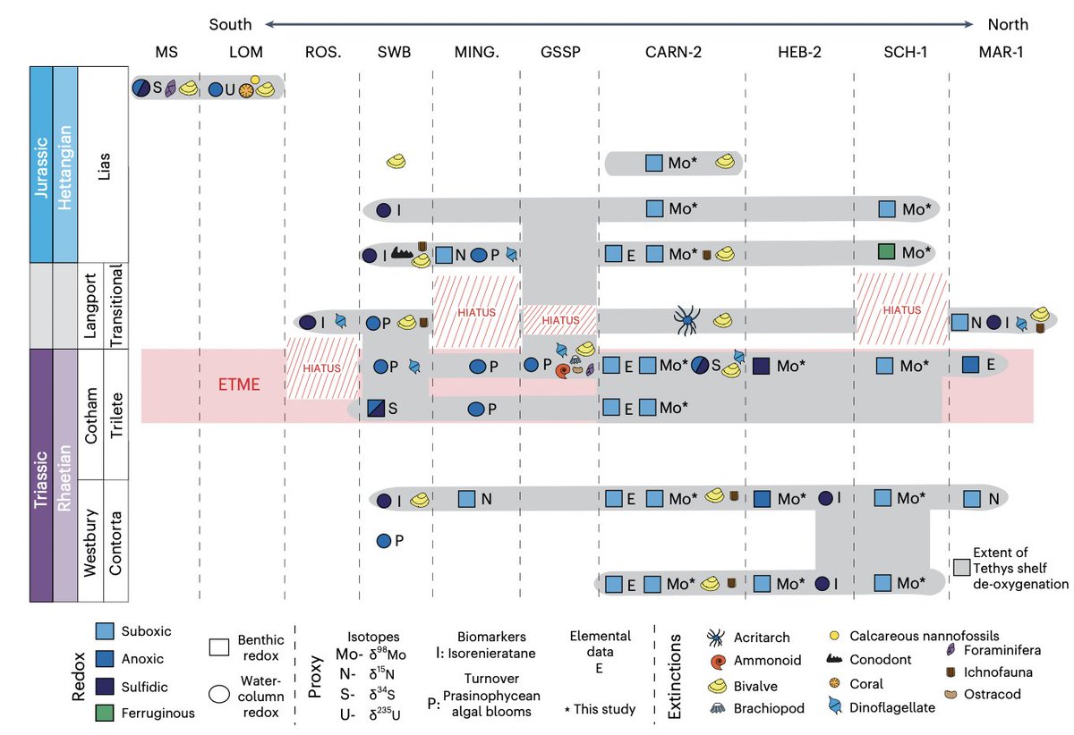 AndrewBond8's tweet photo. Our work in @NatureGeosci has been published. We use Mo isotopes to show that de-oxygenation levels during the end-Triassic extinction were similar to today with localised marine redox change having catastrophic effects on biodiversity @London_NERC_DTP https://t.co/KWmQQsuVRl https://t.co/cpTtvE3WBu