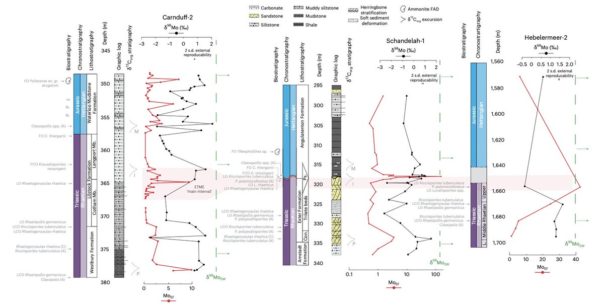 AndrewBond8's tweet photo. Our work in @NatureGeosci has been published. We use Mo isotopes to show that de-oxygenation levels during the end-Triassic extinction were similar to today with localised marine redox change having catastrophic effects on biodiversity @London_NERC_DTP https://t.co/KWmQQsuVRl https://t.co/cpTtvE3WBu