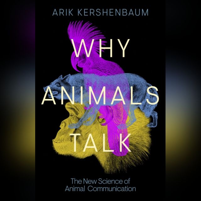 🚨Exciting news!🚨 My next book, "Why Animals Talk" will be out in January! You can pre-order it here blackwells.co.uk/bookshop/produ…