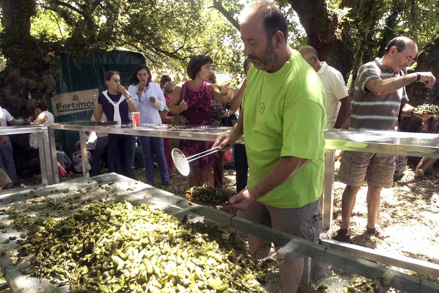 SabiasGalicia's tweet photo. Sabías que a Festa do Pemento de #Herbón leva celebrándose dende 1998. Cada primeiro sábado de agosto os veciños friten centos de quilos de pementos para os que se achegan ata a Carballeira do Convento. No ano 2001 acadou o recoñecemento de Festa de Interese Turístico. #Padro https://t.co/qVynHFtpZt
